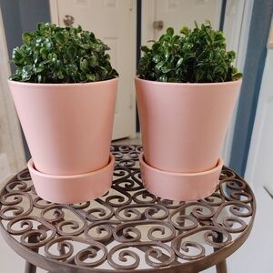 NWOT Bundle Pink & Grey planters 5×5 bundle of 3